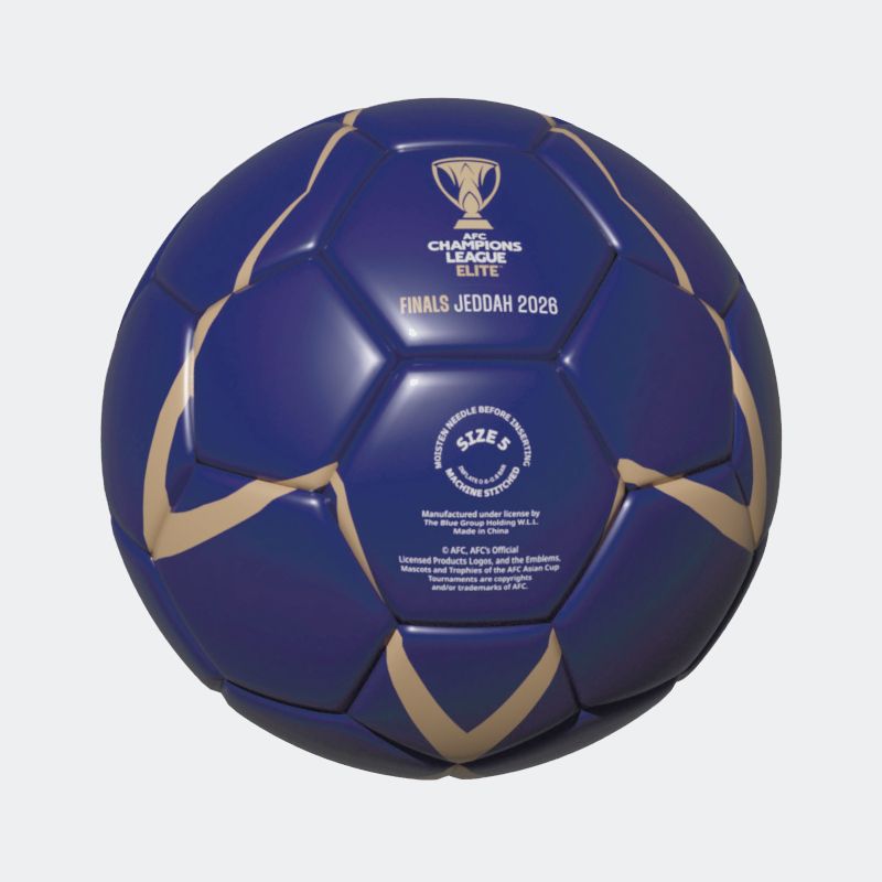 Generic Purple Size 5 Ball