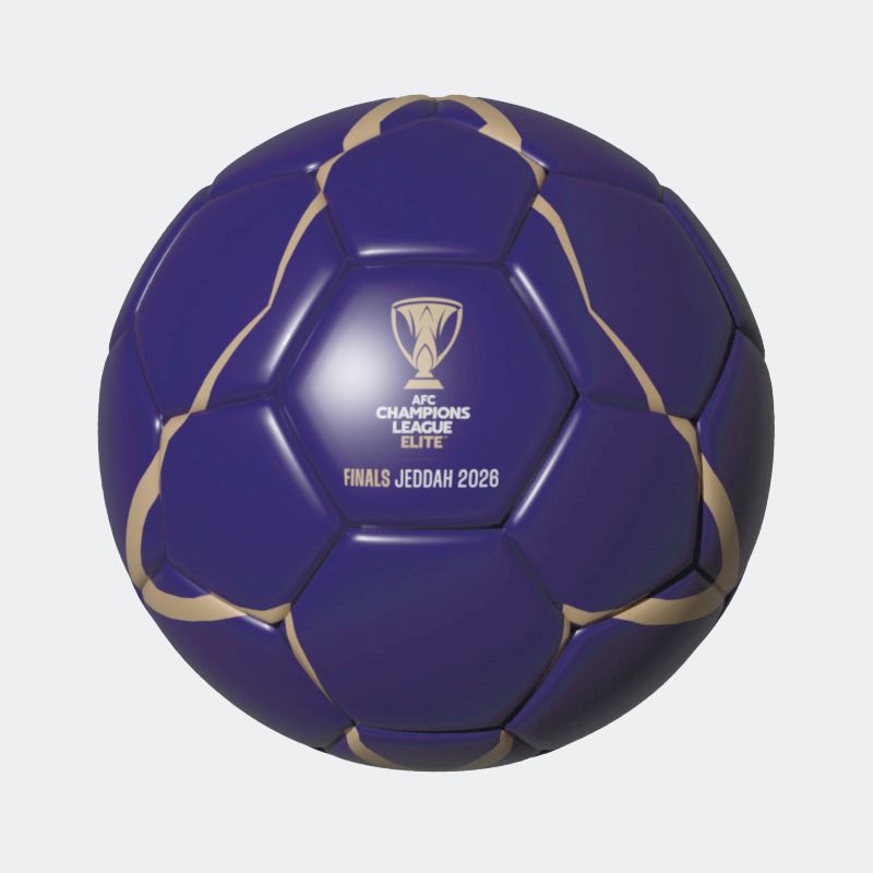 Generic Purple Size 5 Ball